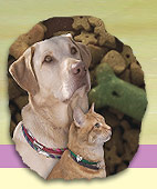 Dogs 'n Cats