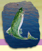 Catch of the Day