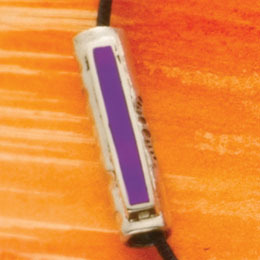 Stepping Forth with Inlay