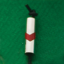 Elder with Inlay
