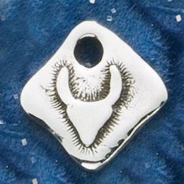 TAURUS