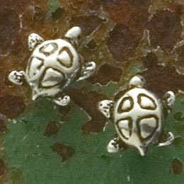 Tiny Turtles