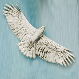 Soaring Hawk